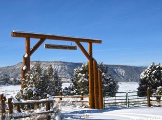 53 County Road 12a, Ridgway, CO 81432