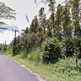 2nd image of Hapuu Road