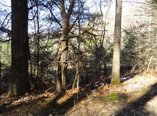 Track 1 Andy Bunton Ln, Butler, TN 37640