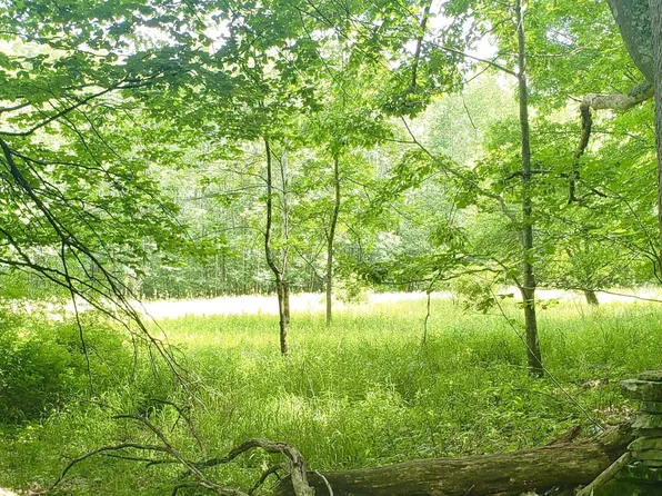 Berry Hill Rd, Lakeville, PA 18438