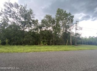 4451 Witch Hazel Rd, Middleburg, FL 32068