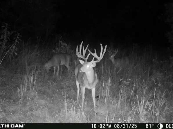 Glass Rd, Coalgate, OK 74538