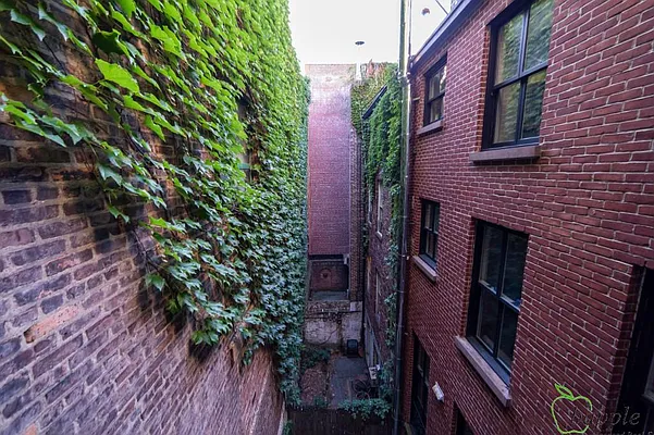 Rented by Bapple | media 19