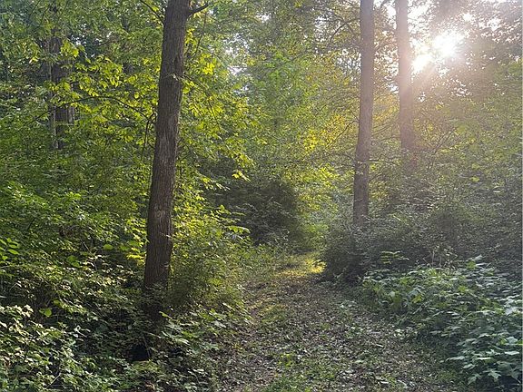 3rd image of 651 Crawford Toms Run Rd