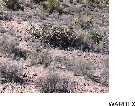 1st image of 8084 N Dedo Plazuela