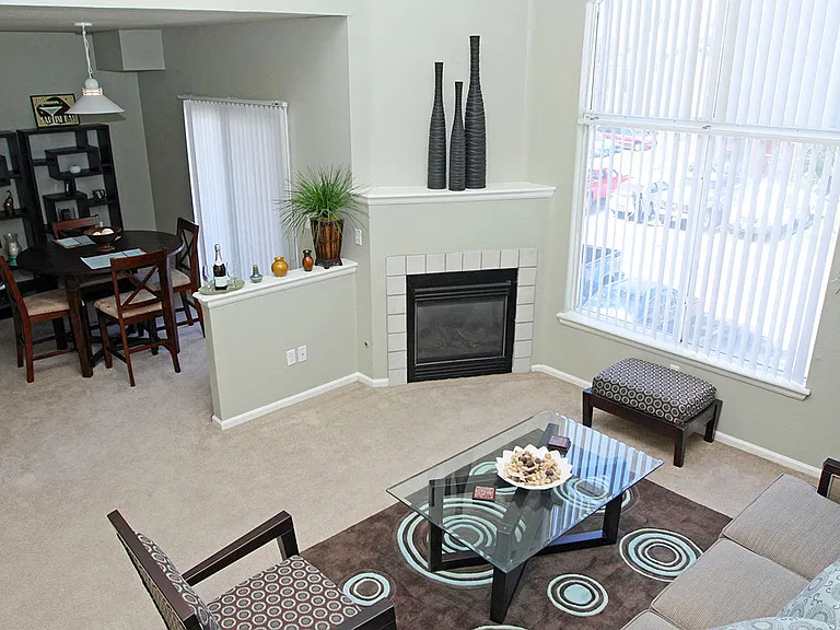 Gas Fireplaces*