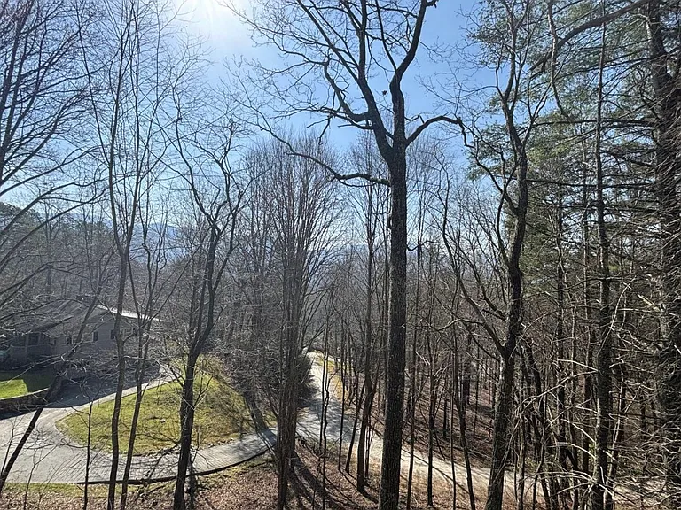 490 Chalet Village Ln — Photo 13