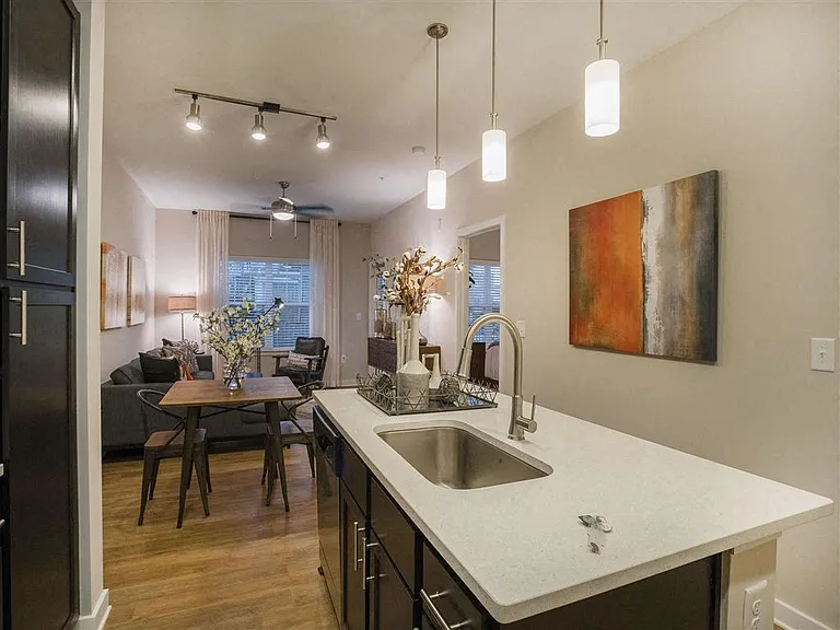 Pointe at Prosperity Village Apartments — Photo 38
