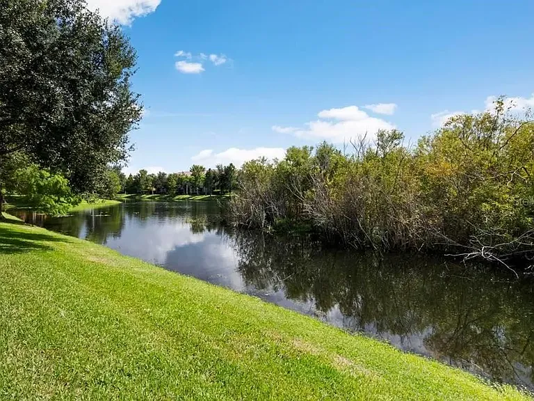 Lake with fountain and wildlife