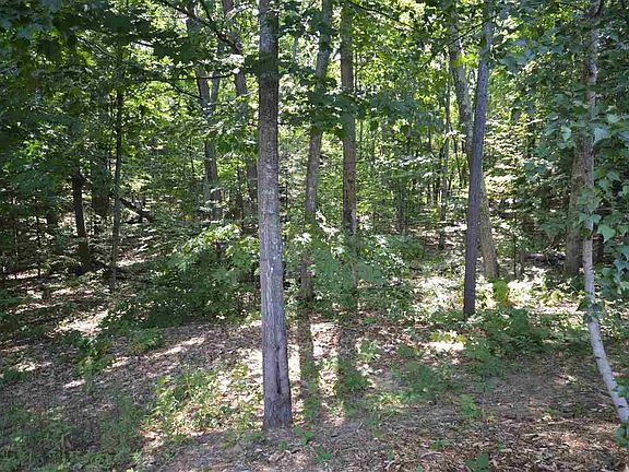 3rd image of S Manitou Trl #1-C