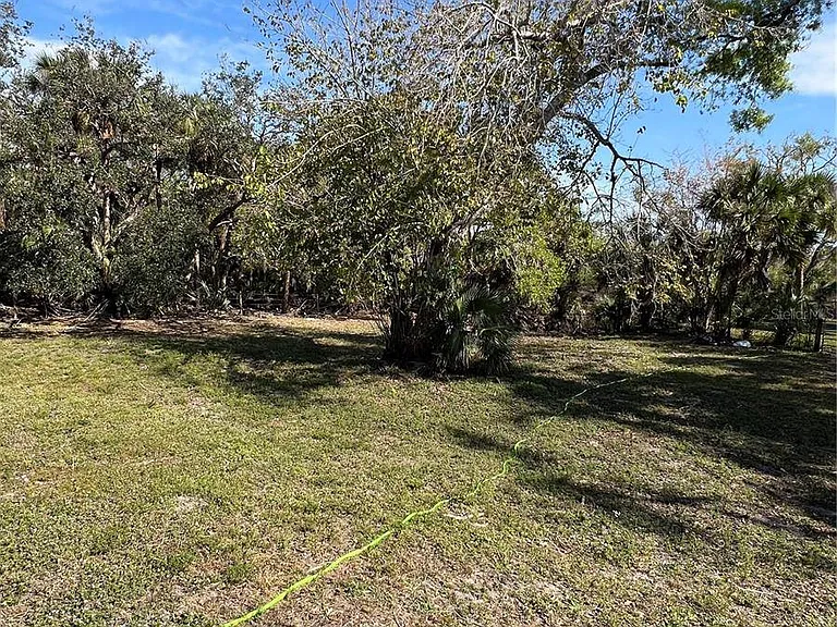 50 Palm Dr — Photo 24