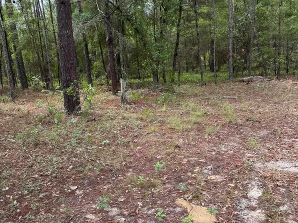 4477 M LAKE Road, Keystone Heights, FL 32656