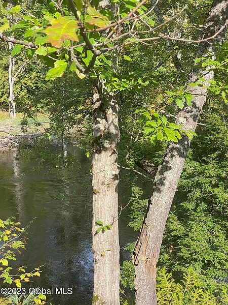 3rd image of 2117 Schroon River Road