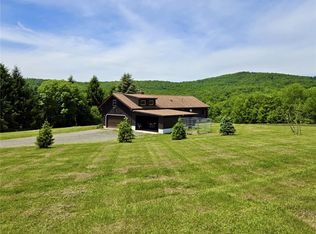 1168 Sunrise Mountain Rd, Bloomville, NY 13739