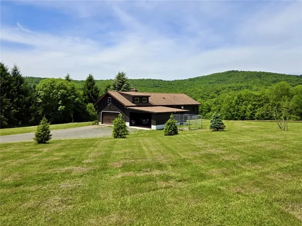 1168 Sunrise Mountain Rd, Bloomville, NY 13739