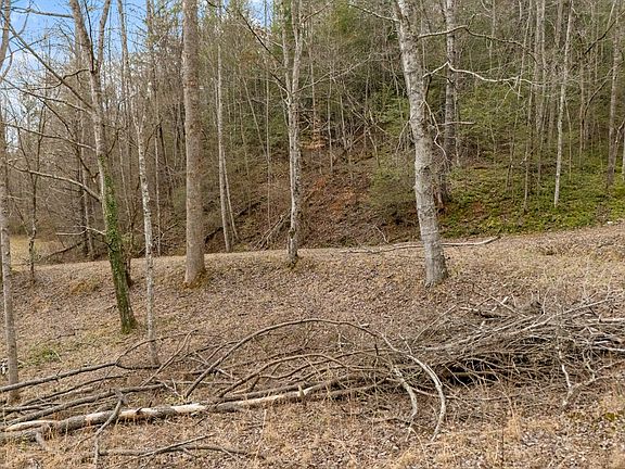 4th image of 891 Glades Rd Lot 4