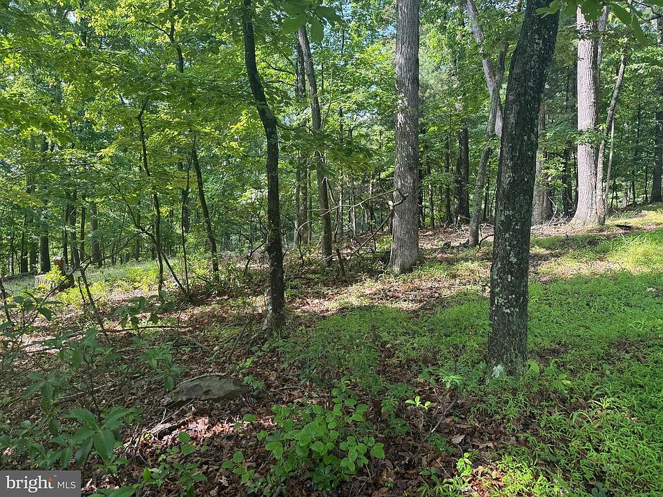 2nd image of 133 Pepper Ln