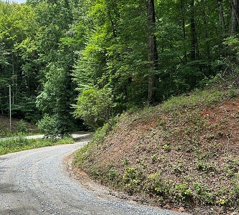 5th image of 0 Coman Rd Tract 4A