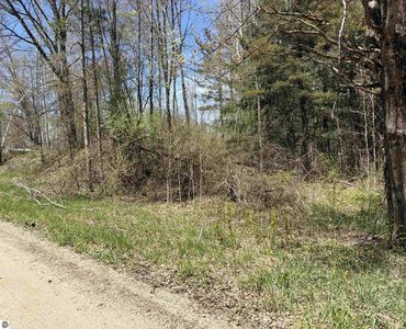 11310 W Rosebush Rd, Weidman, MI, 48893
