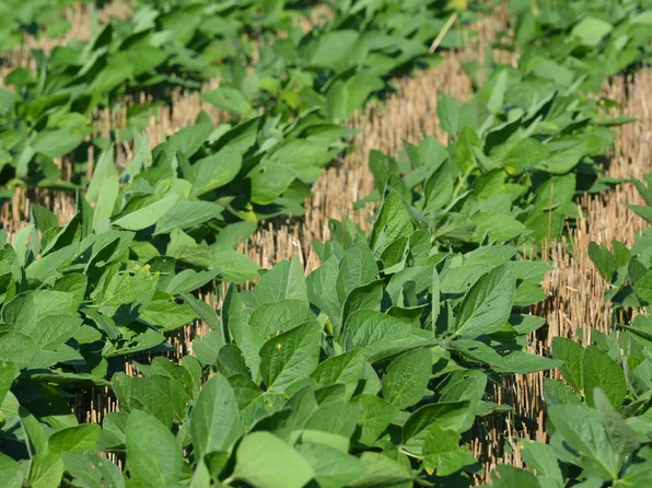 E 56th Hwy, Overbrook, KS 66524