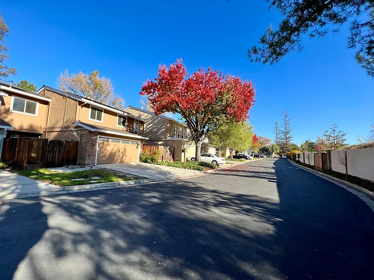 248 Pine Wood Ln — Photo 38