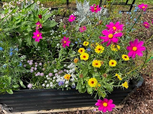 46th image of this home