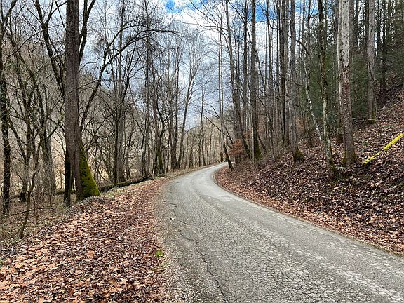 5th image of 2774 Mosley Bend Rd