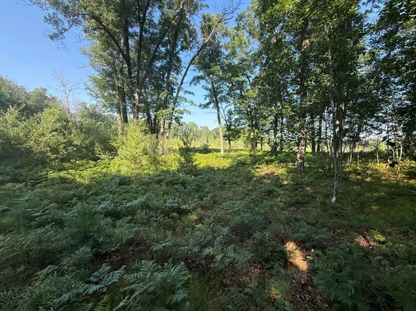 W Royal Rd #2, Stanwood, MI 49346