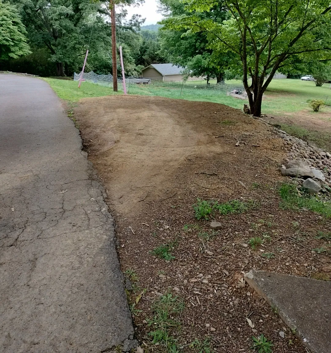 3 bed, 1100 sqft, $1,900 — Photo 4