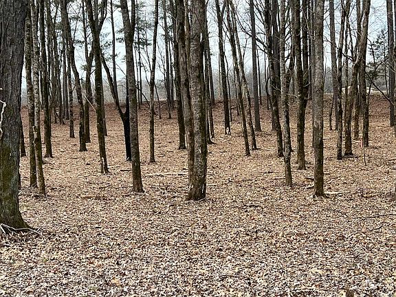 3rd image of 0 Sunshine Ln Lot 4