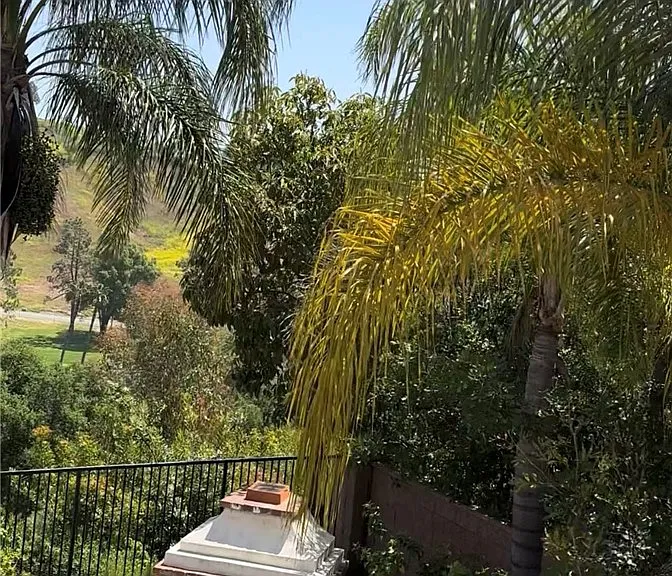 15540 Canon Ln — Photo 31