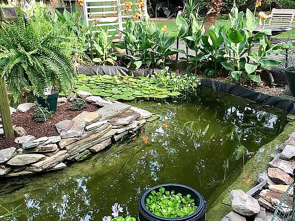 Water garden