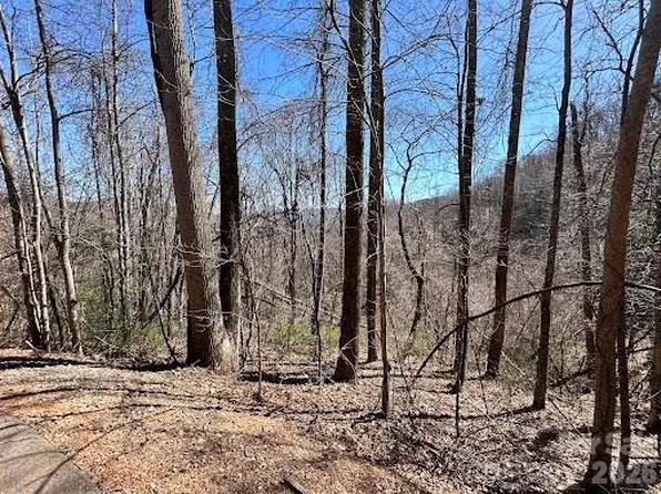 52 Hope View Rd, Swannanoa, NC 28778