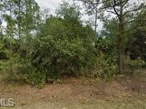 318 Wells AVE, LEHIGH ACRES, FL 33936