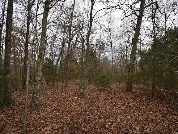 5th image of 0 Depriest Bend Dr