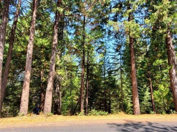 3161 Apache Rd, Arnold, CA 95223