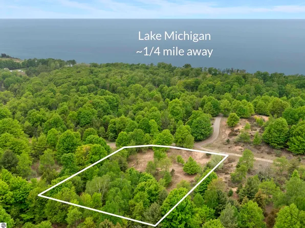 15380 Lake Bluff Rd, Arcadia, MI 49613