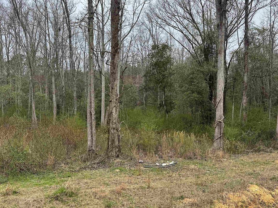 2nd image of 2187 County Road 340 #0