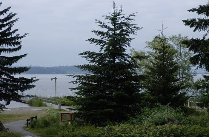 View from deck