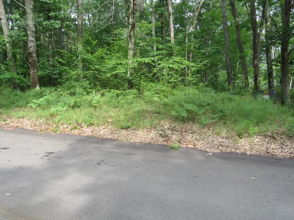 21 Cindy Ave, Roscommon, MI 48653
