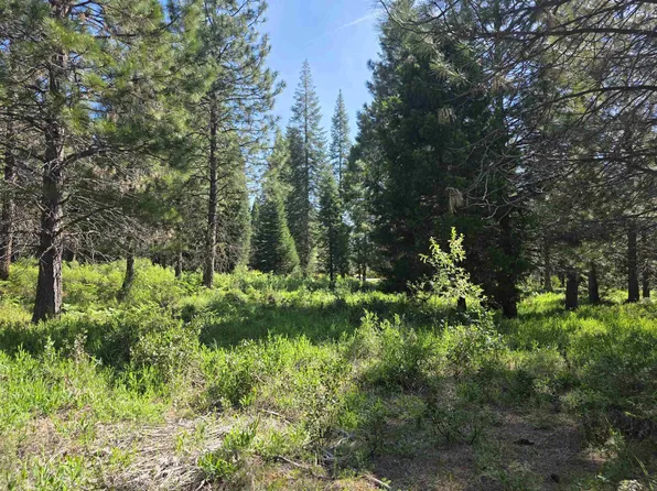 LOT 60 Old Mill Rd, McCloud, CA 96057