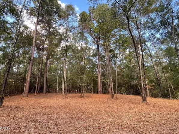 Old Highway 49 Hwy Lot 5, Saucier, MS 39574