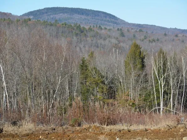 Lot 137.25 French Hill Road, Albany Twp, ME 04217