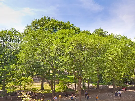 Sold by Sotheby's International Realty | media 12