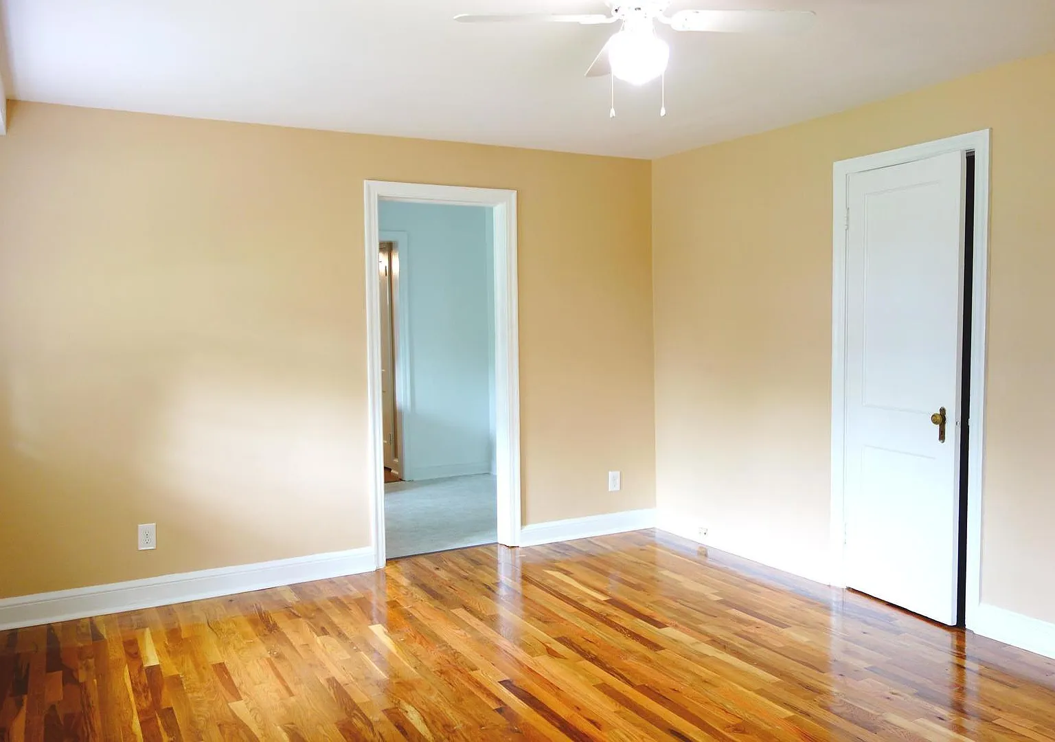 8210 Greenwood Avenue D&G Properties Llc — Photo 3