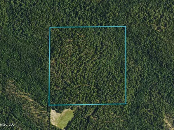 0 Copperhead Rd, Leakesville, MS 39451