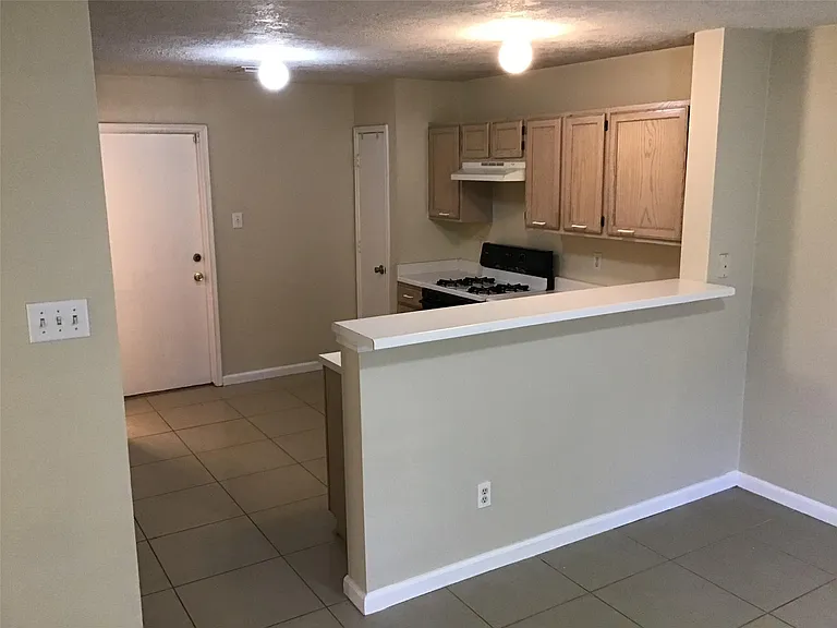 11802 Sunny Stream Dr — Photo 10