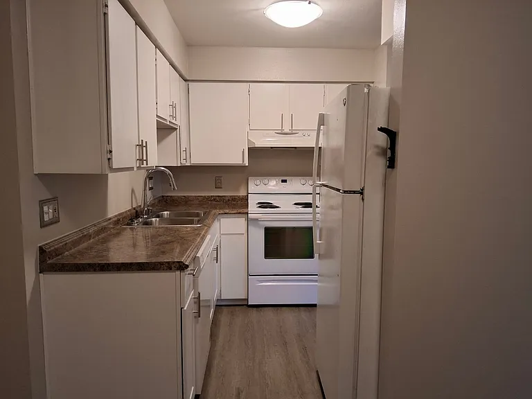 42n2620 — Photo 2