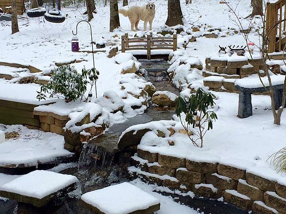 Koi pond w/ waterfall 