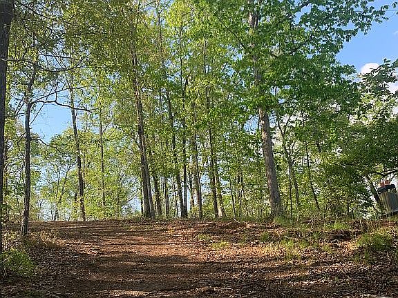 Partially Cleared Home Site